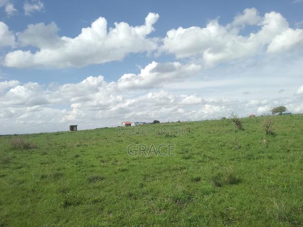 Prime 1/8 Acre Residential Plots in Joska – Ready Title Deeds - thumbnail 4