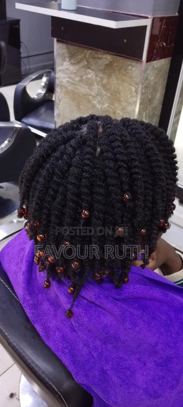 Natural Hair Styles - main view