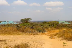Konza Gardens