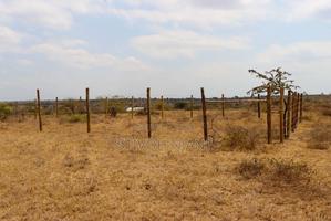 Konza Garden - thumbnail 2