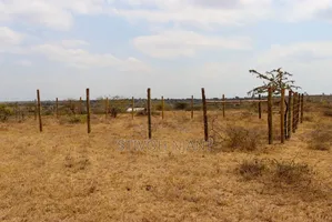 Konza Garden