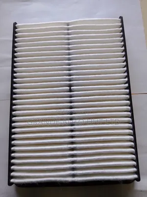 Air Filter Kia Sorento/Santa Fe Diesel (Genuine)