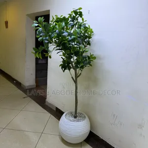 Artificial Fiddle Plant