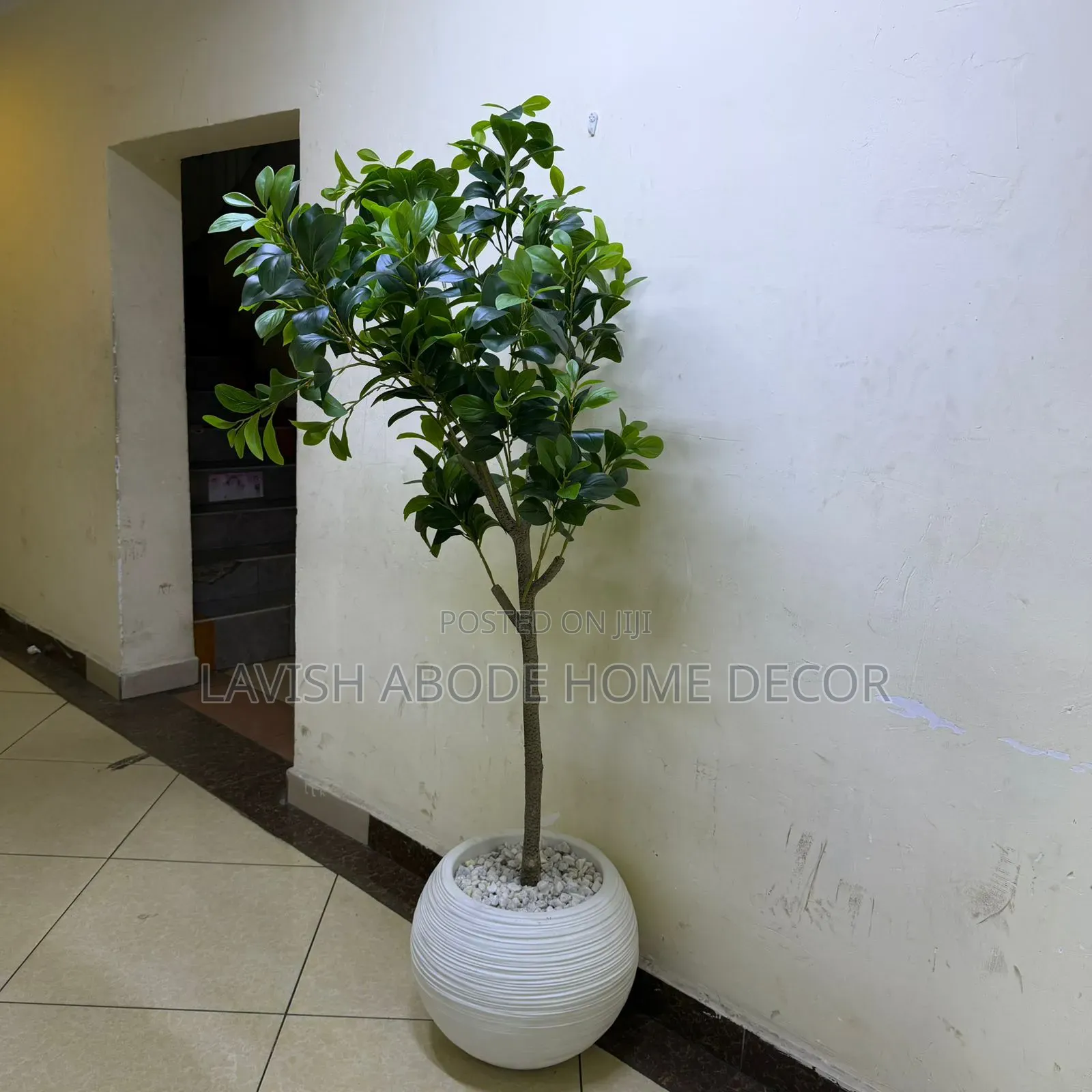 Artificial Fiddle Plant