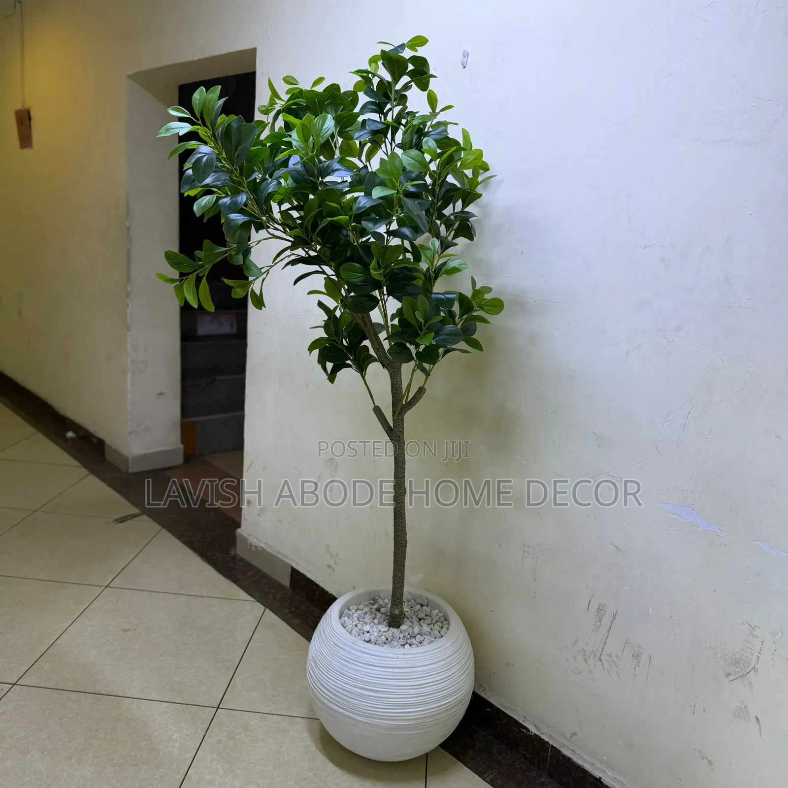 Artificial Fiddle Plant