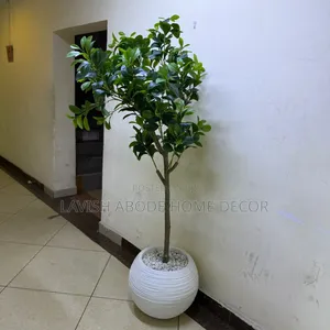 Artificial Fiddle Plant