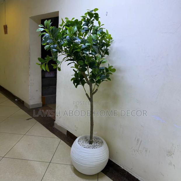 Artificial Fiddle Plant - thumbnail 4
