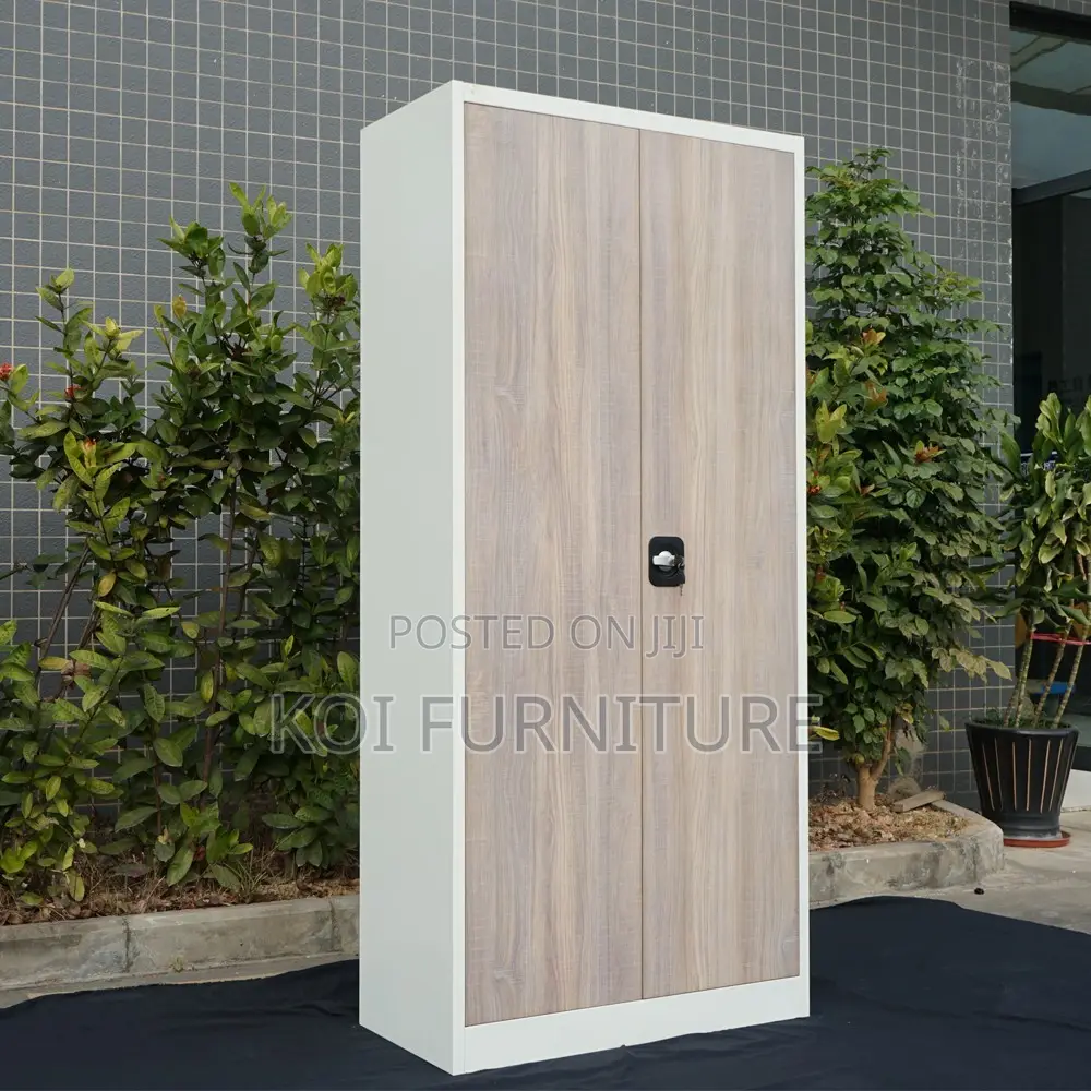 Office Cabinet; Two Doors Executive Filing Cabinet