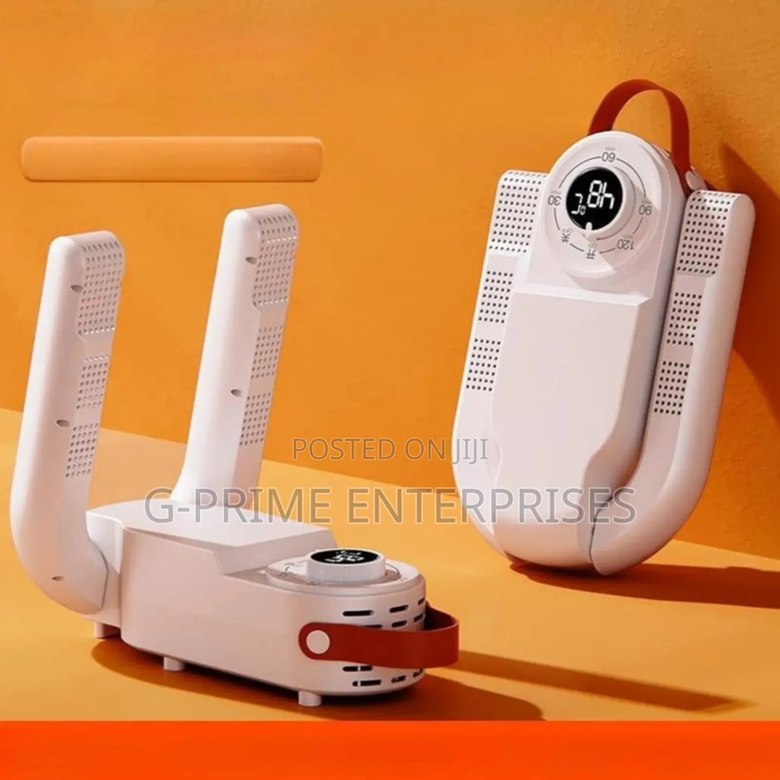 Electric Shoe Dryer