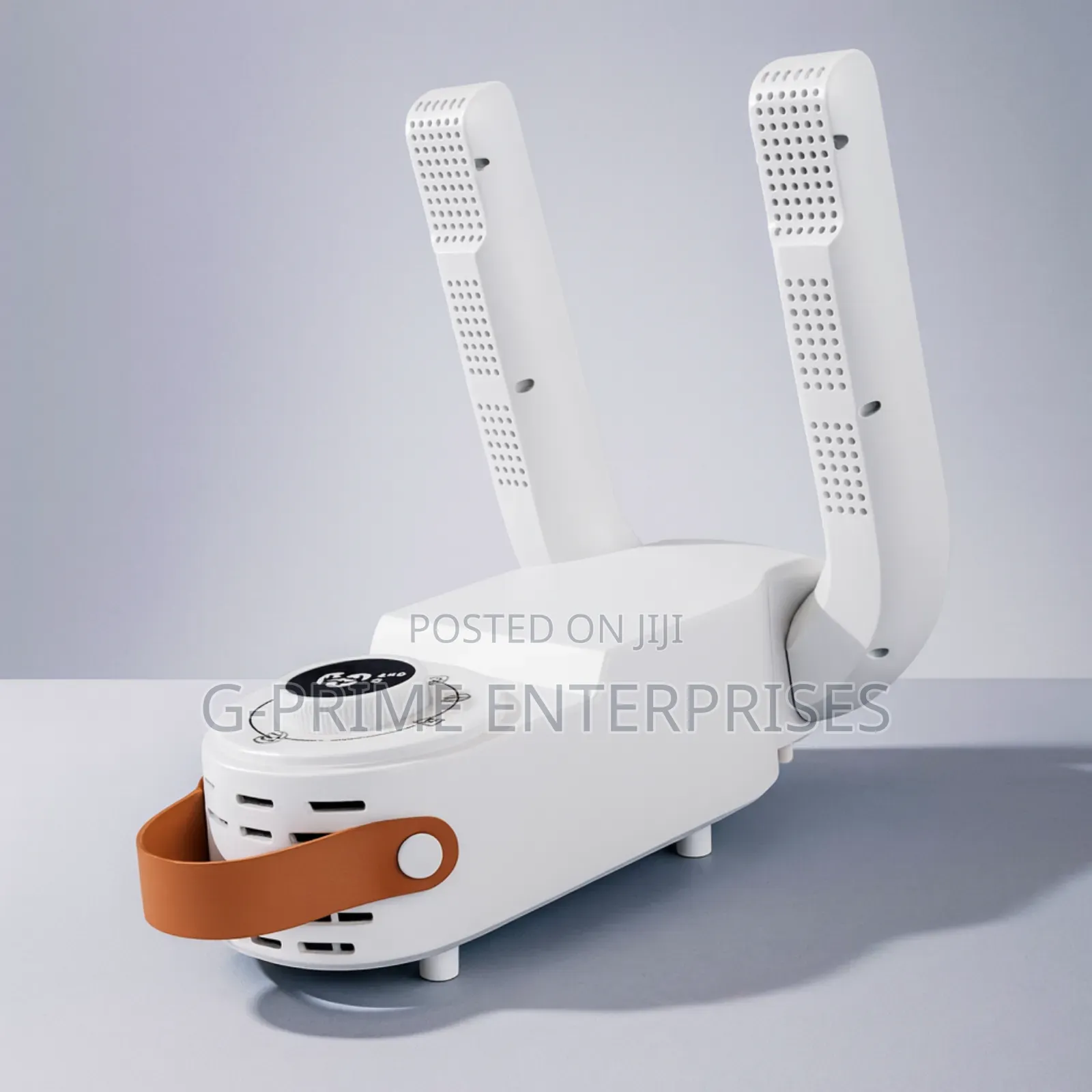 Electric Shoe Dryer