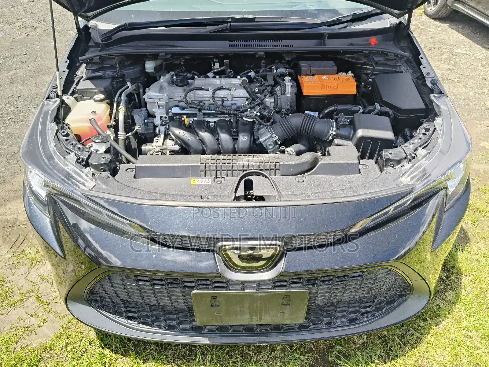 Toyota Corolla LE 2020 Black