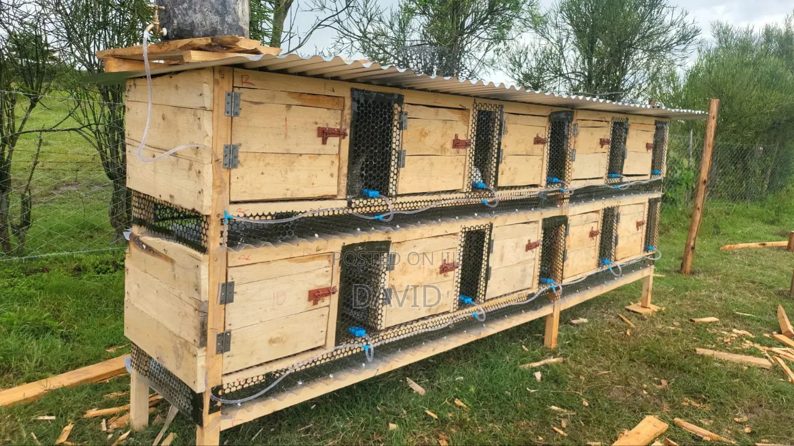 Rabbit Hutch And Cages Construction On Order - Collects Rabbit Urine