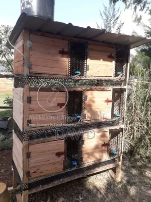 Rabbit Hutch And Cages Construction On Order - Collects Rabbit Urine