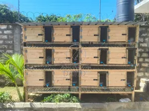 Rabbit Hutch And Cages Construction On Order - Collects Rabbit Urine