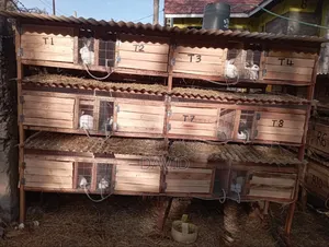 Rabbit Hutch And Cages Construction On Order - Collects Rabbit Urine