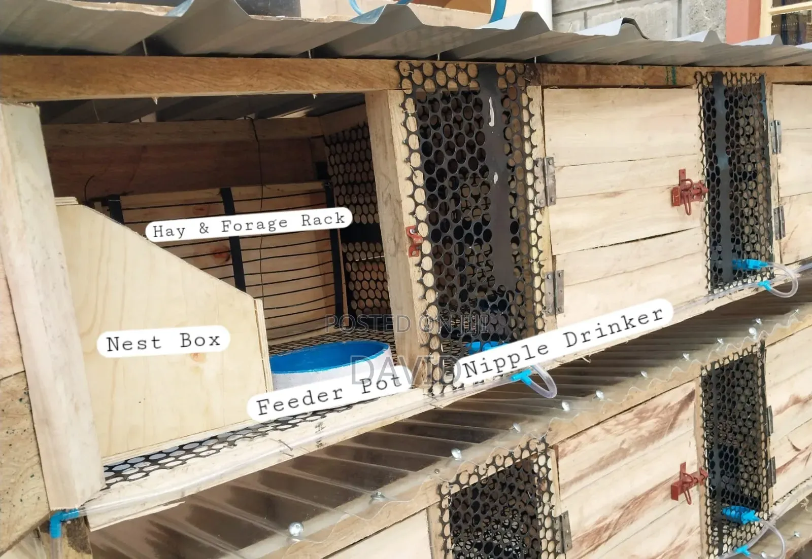 Rabbit Hutch And Cages Construction On Order - Collects Rabbit Urine