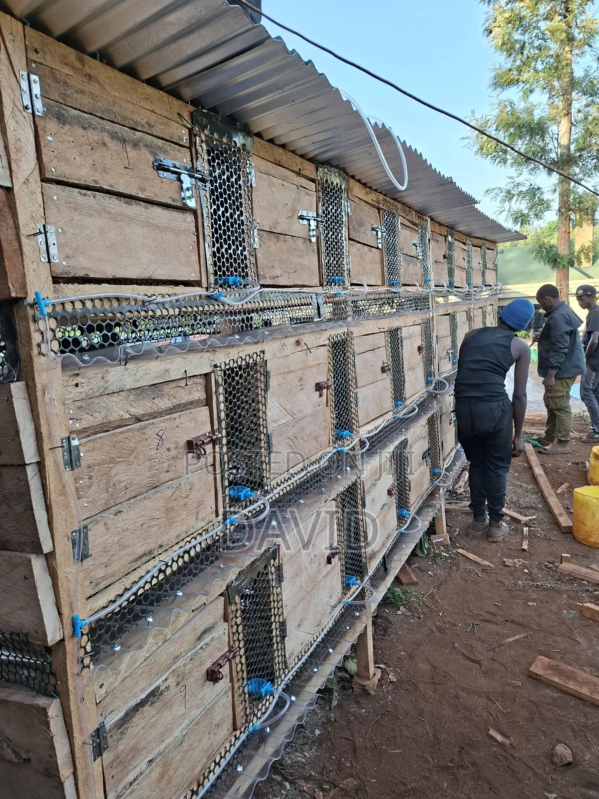 Rabbit Hutch And Cages Construction On Order - Collects Rabbit Urine