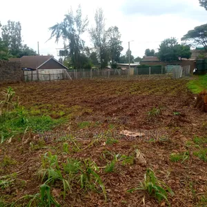 50by100 Commercial Plot For Sale,Suitable For Rental Houses.