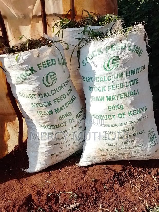 Pemba Grass on Wholesale - thumbnail 5