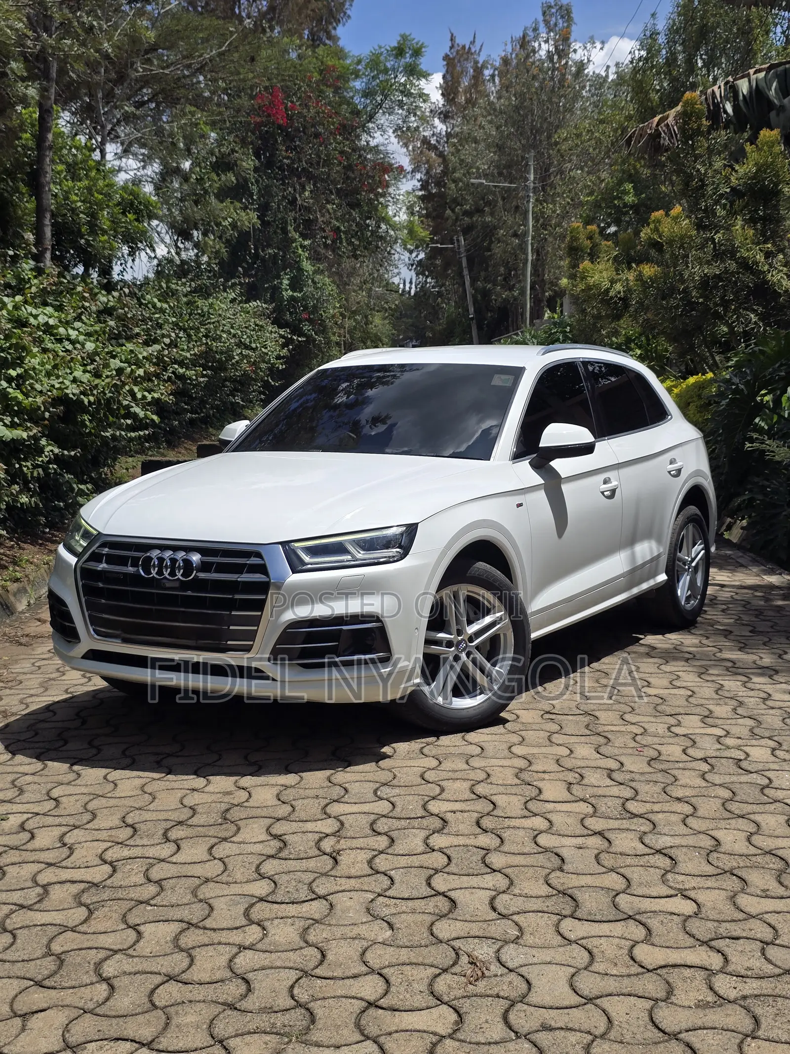Audi Q5 2.0T Tech Premium AWD quattro 2018 White