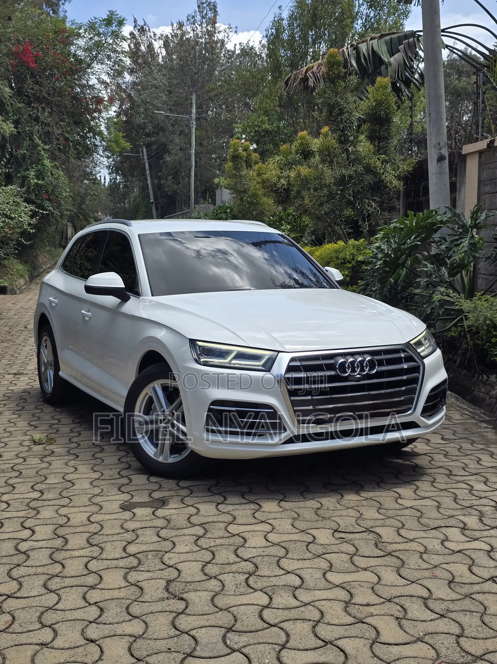 Audi Q5 2.0T Tech Premium AWD quattro 2018 White