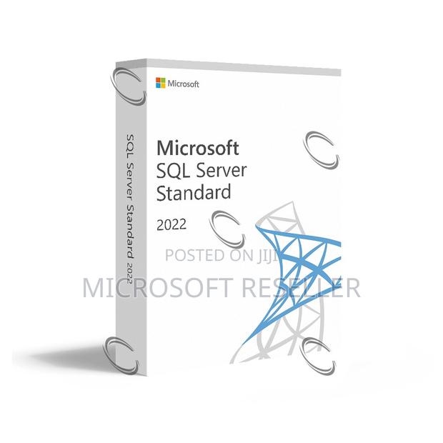 SQL Server Standard 2022 - main view