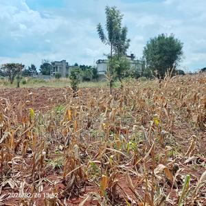 40x80 Kiora Estate - thumbnail 2