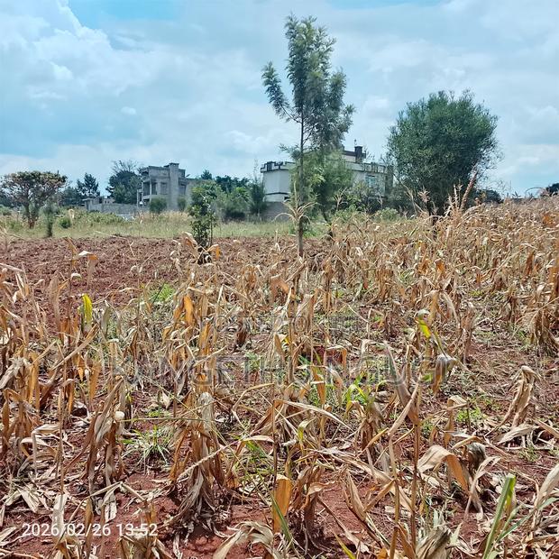 40x80 Kiora Estate - main view