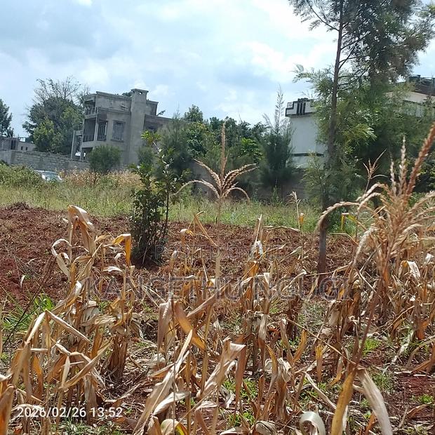 40x80 Kiora Estate - thumbnail 3