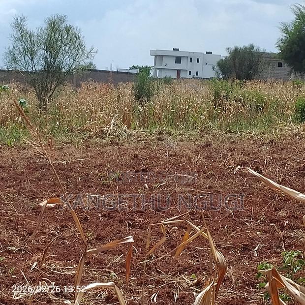 40x80 Kiora Estate - thumbnail 4