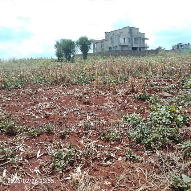 40x80 Kiora Estate - thumbnail 5