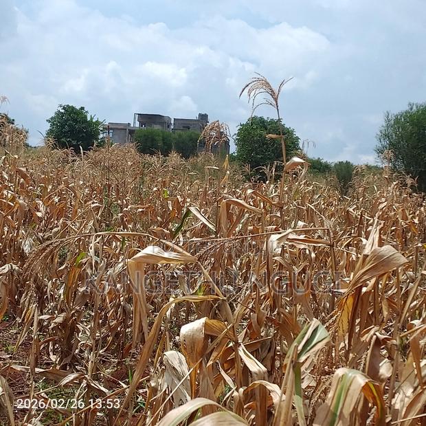 40x80 Kiora Estate - thumbnail 6