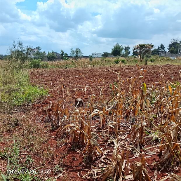 40x80 Kiora Estate - thumbnail 7