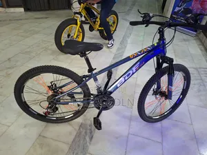 *Mountain Bike Size 24