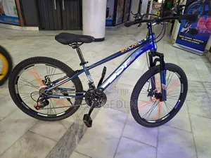 *Mountain Bike Size 24