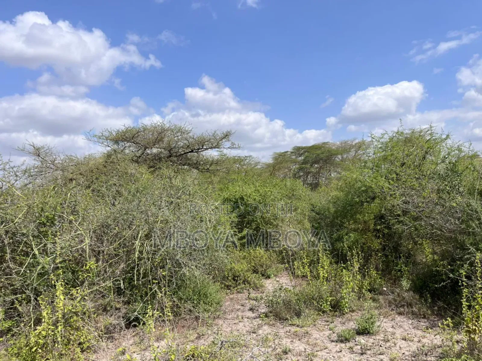 10 Acres Land for Sale in Mavoko