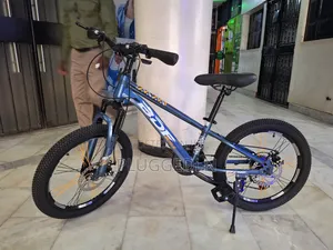 BDF Mountain Bike- Size 24*