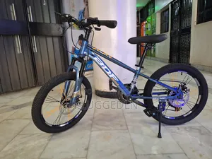 BDF Mountain Bike- Size 24*