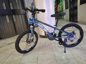 BDF Mountain Bike- Size 24*