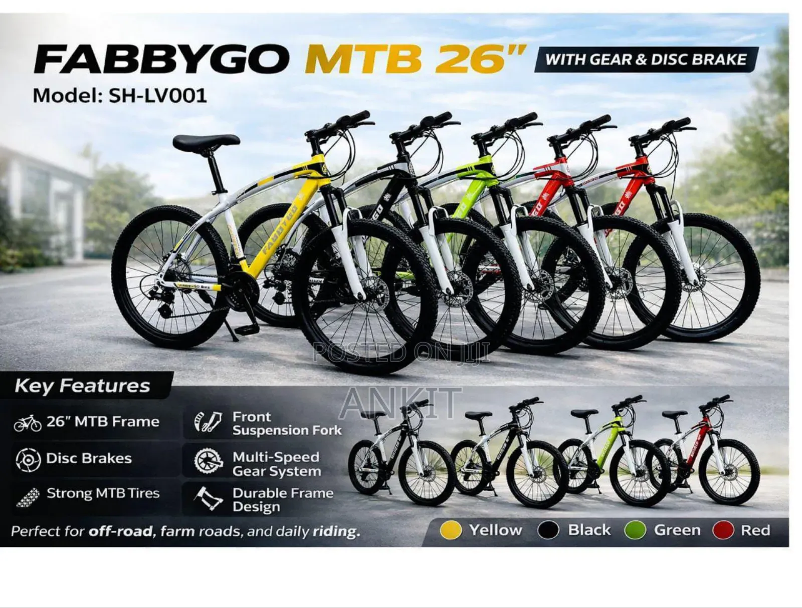 Mountain Bike