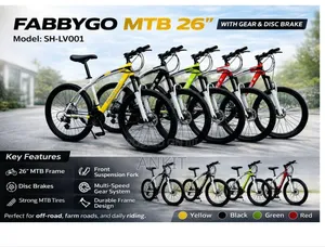 Mountain Bike