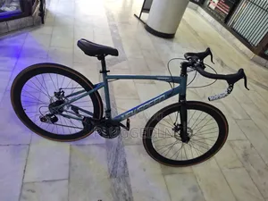 Newspeed 21-Speed Aluminium Alloy Frame Gravel Bike.