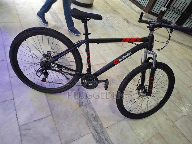 Bluelander Mountain Bike- *Size 29. - main view