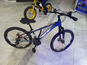 24" BDF Mountain Bicycle