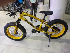 24" Beinaiqi Fat Bike
