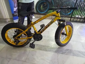 24" Beinaiqi Fat Bike