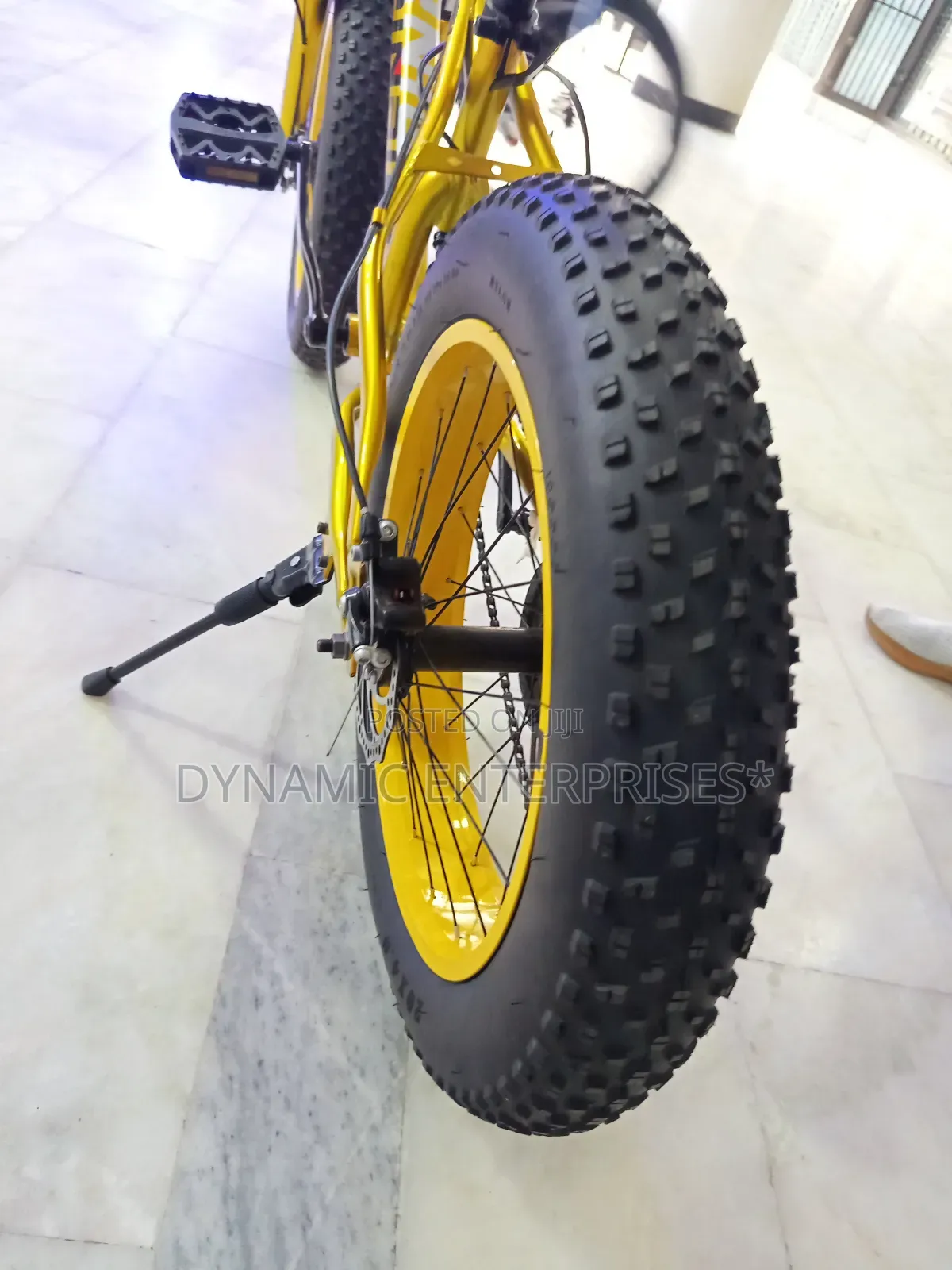 24" Beinaiqi Fat Bike
