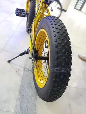 24" Beinaiqi Fat Bike