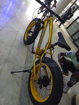 24" Beinaiqi Fat Bike