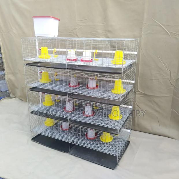 Chicks Brooding Cage - main view